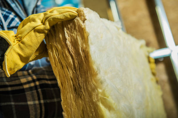 Best Local Insulation Services  in Evergreen Park, IL