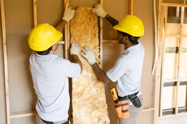Best Professional Insulation Contractor  in Evergreen Park, IL